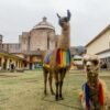 Private walking tour of Cusco