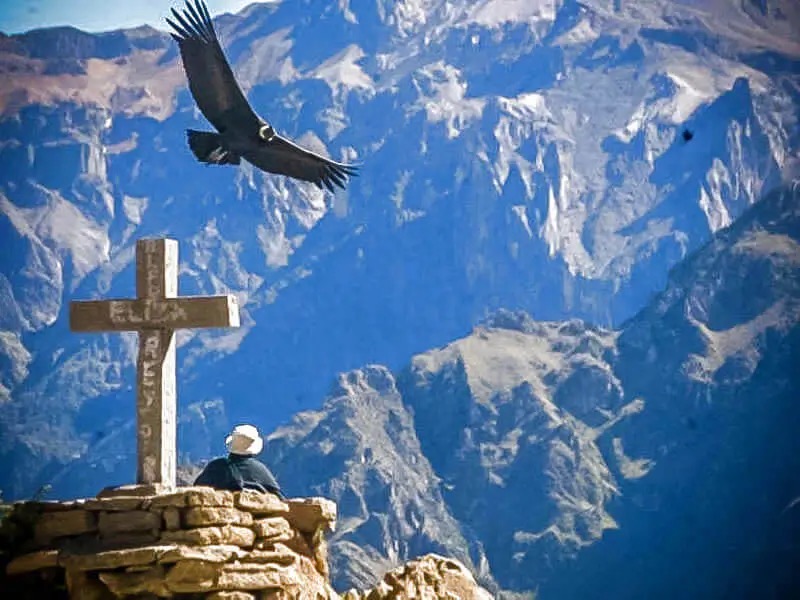 Trekking Colca Canyon 2 Days